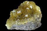 Yellow, Cubic Fluorite Crystal Cluster - Spain #98699-1